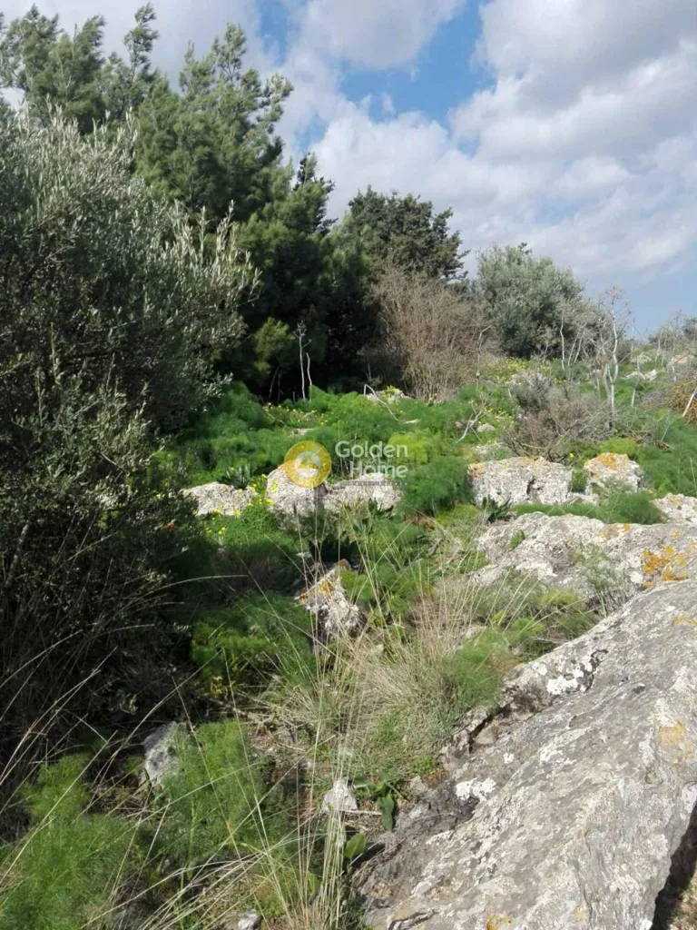 Garden - Land in GR