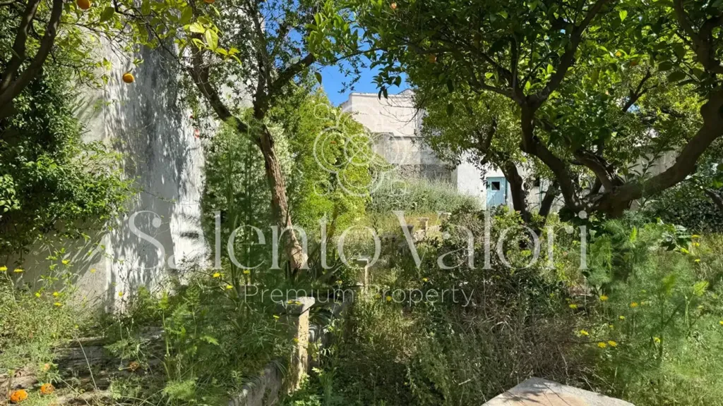 Jardin - Historic Villa with Garden in Taviano