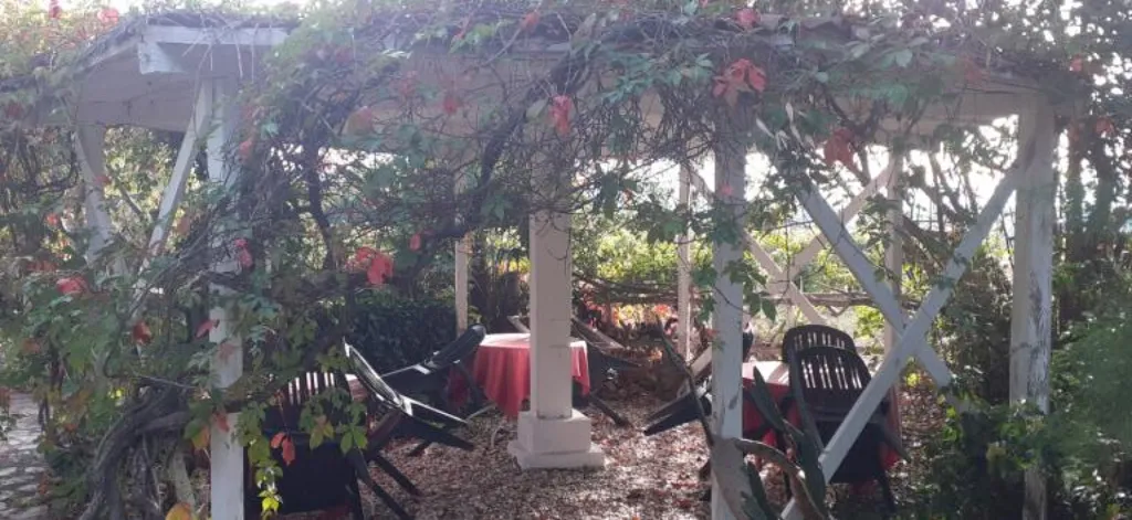 Terrasse - Ensemble Maison + Restaurant avec Terrasse à Clermont-l'Hérault