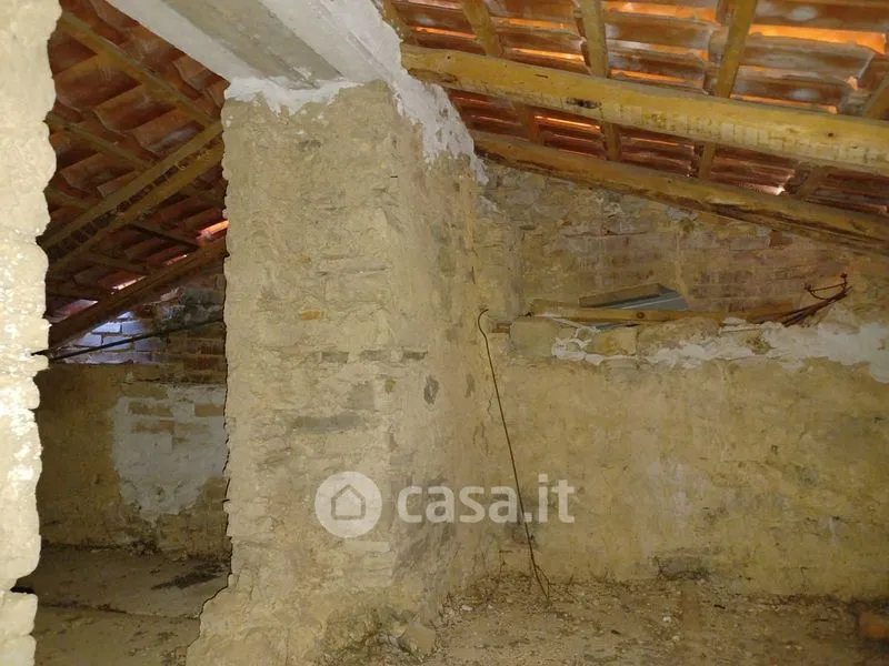 Toad - Historic House with Garden in Stella Cilento