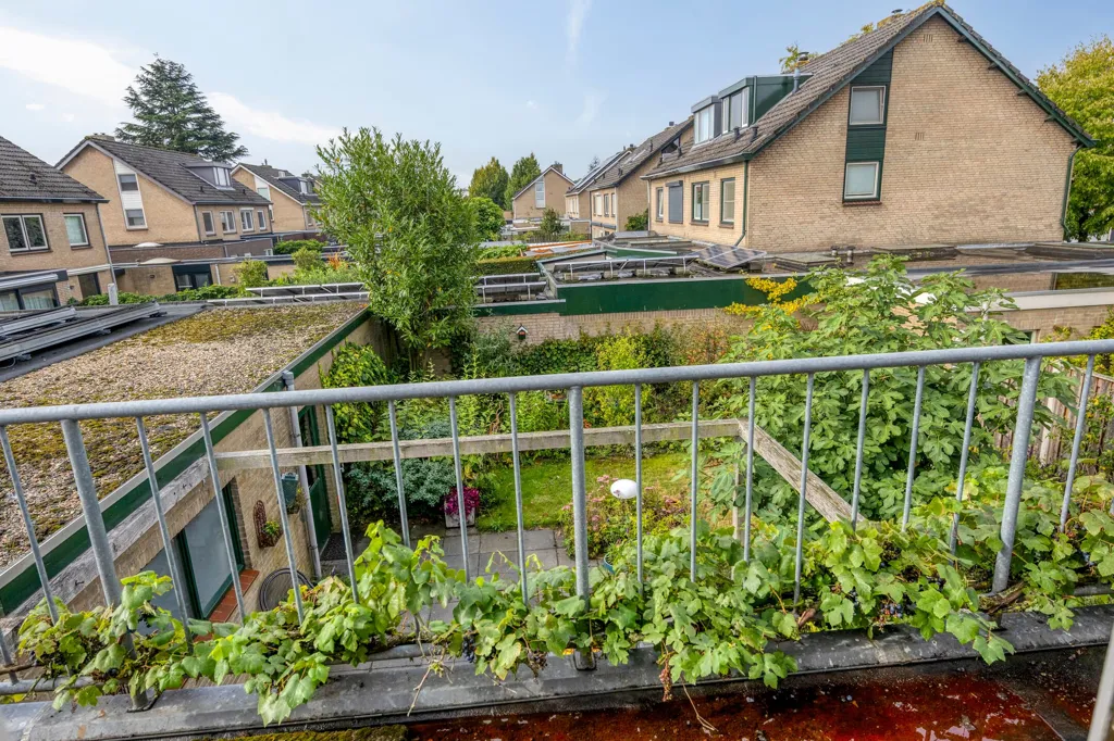 Jardin - Detached House with Garden in Berlicum