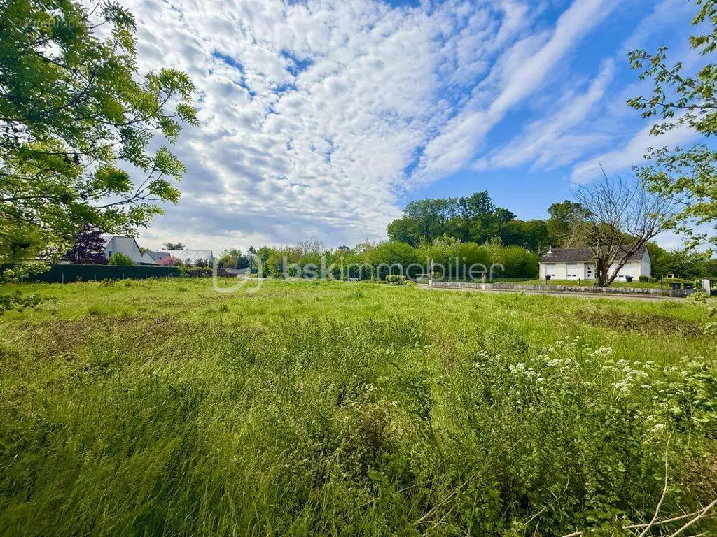 Aed - Buildable Land with Wide Frontage in Ferrières