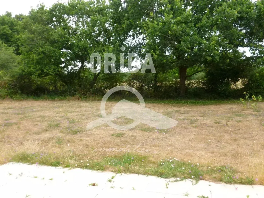 Aed - Detached House with Garden in Pornichet