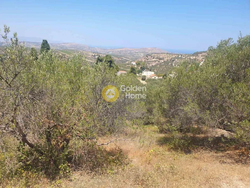 Aed - Plot with Sea View in Stamnoi