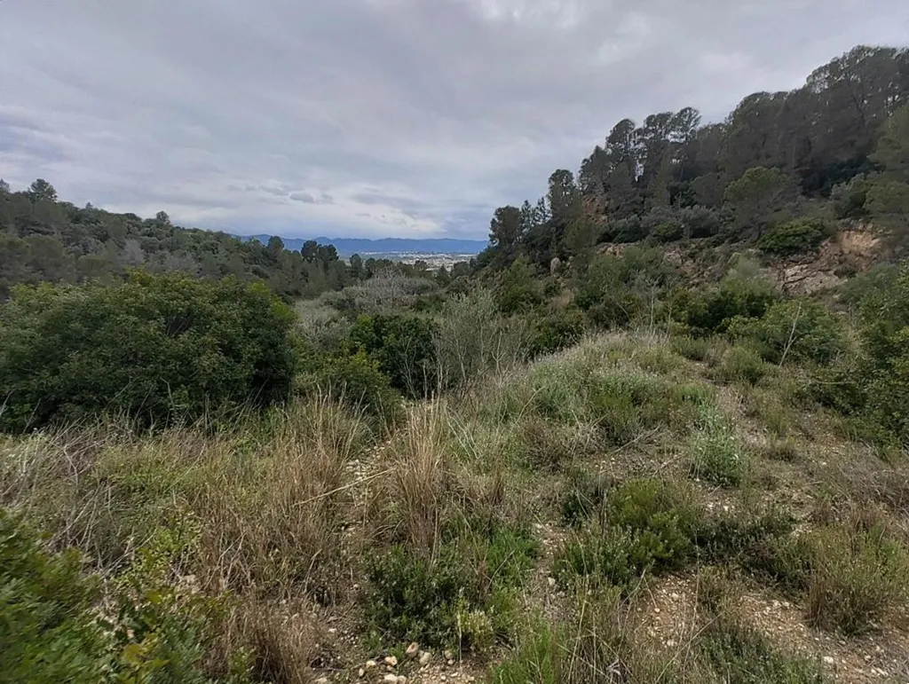 Jardin - Rustic Land with Vineyard in La Llosa de Ranes