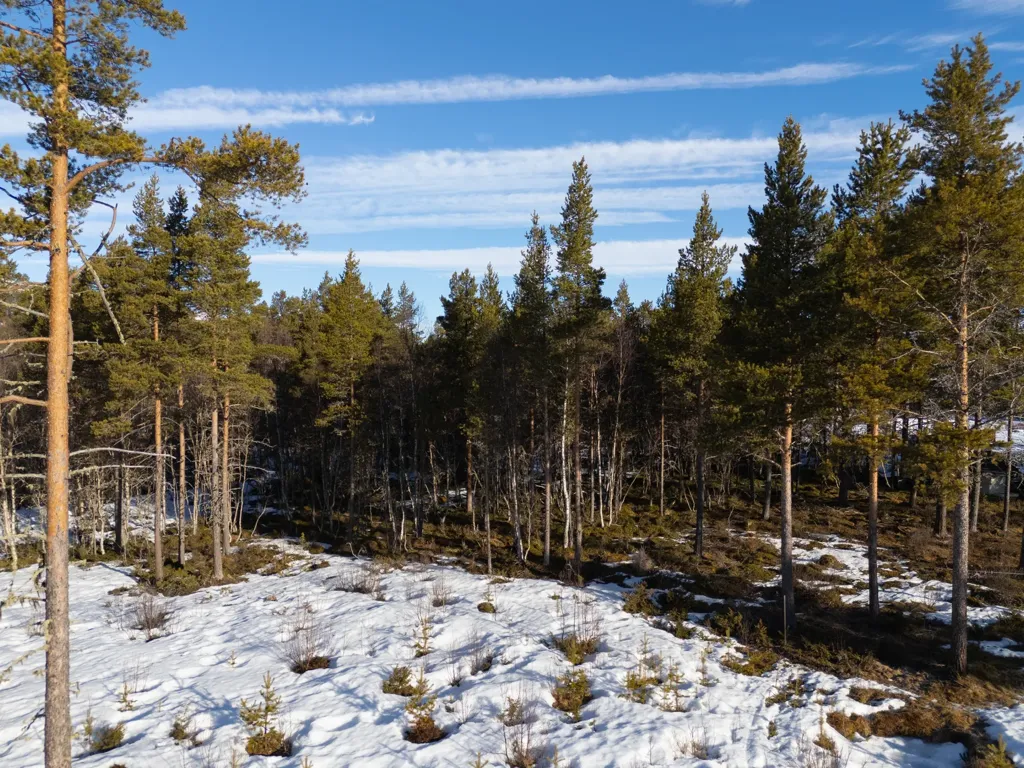 Aed - Corner Plot with Ski Access in Ljusnedal