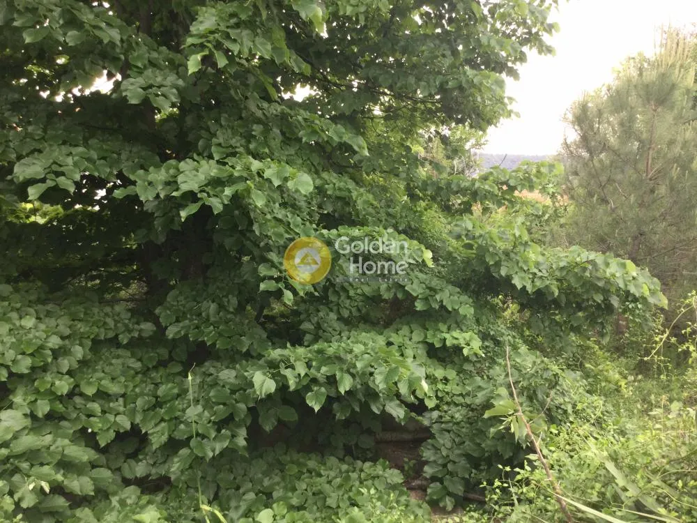 Aed - Buildable Plot with Mountain View in Peuka Centre