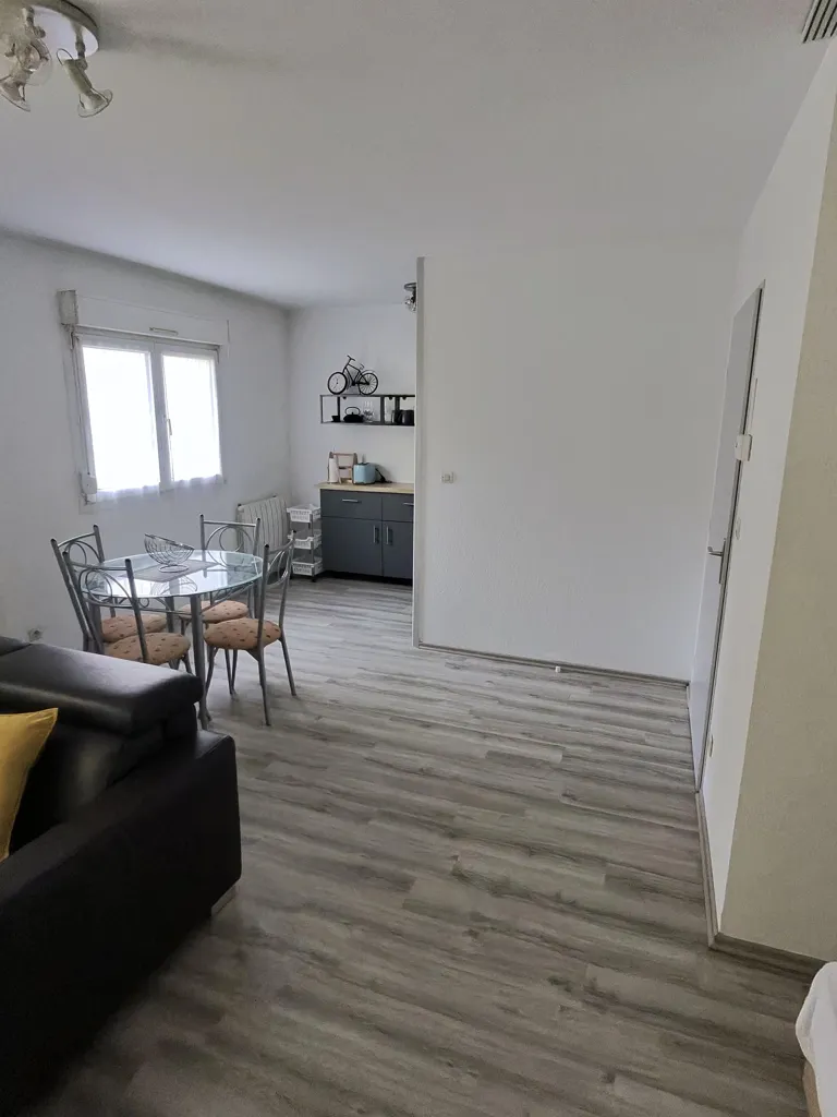 Soggiorno - Fully Furnished 1-Bed Flat in Nancy
