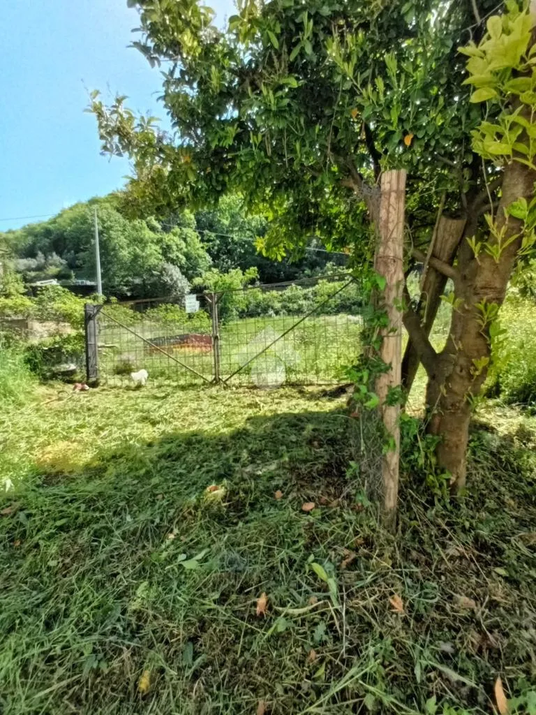 Aed - Buildable Plot with Bus Access in Bellegra
