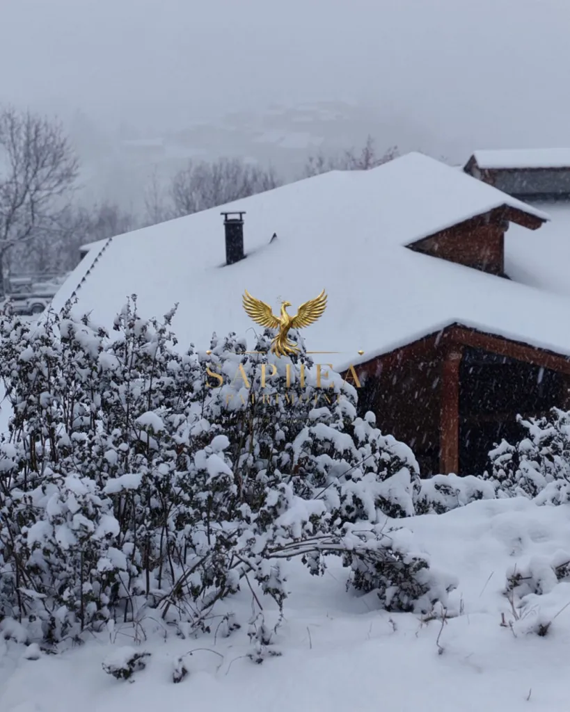 Domaine de Montagne avec Dépendances à Planès