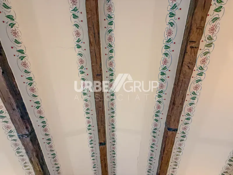 Toad - Detached Corner House with Multiple Terraces in Martorell