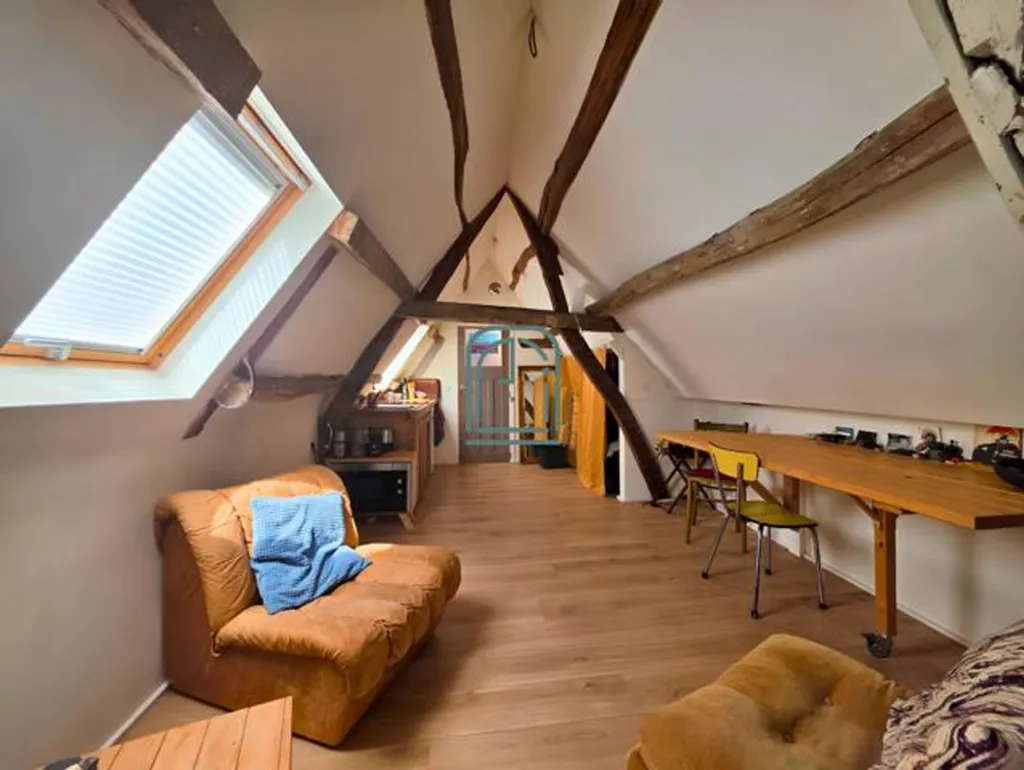Toad - Triplex with Unique Style in Marolles, Brussels