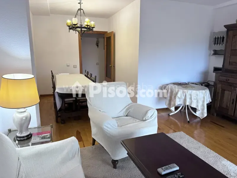Séjour - Apartment with Terrace in Paseo de la Constitución