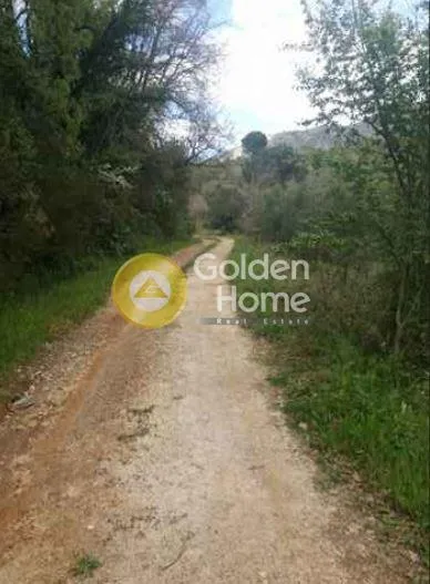 Jardin - Agrarian Plot with Olive Trees in Damasta