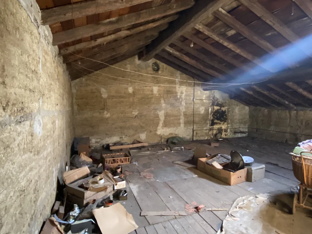 Toad - Old House with Potential Duplexes in Saint-Genis-Laval