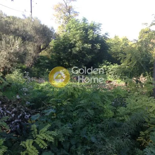 Jardin - Plot with Sea View in Erineo, Lampraki