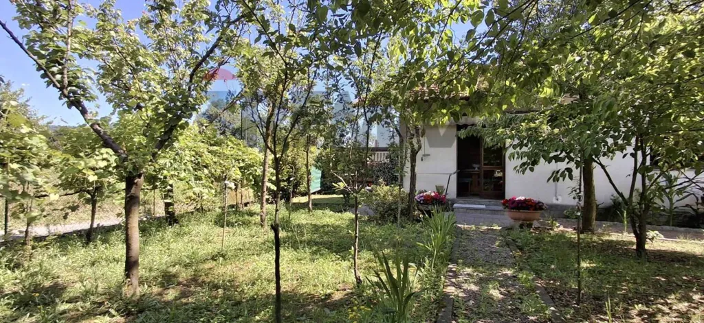 Giardino - Single-Level Villa with Private Garden in Paruzzaro