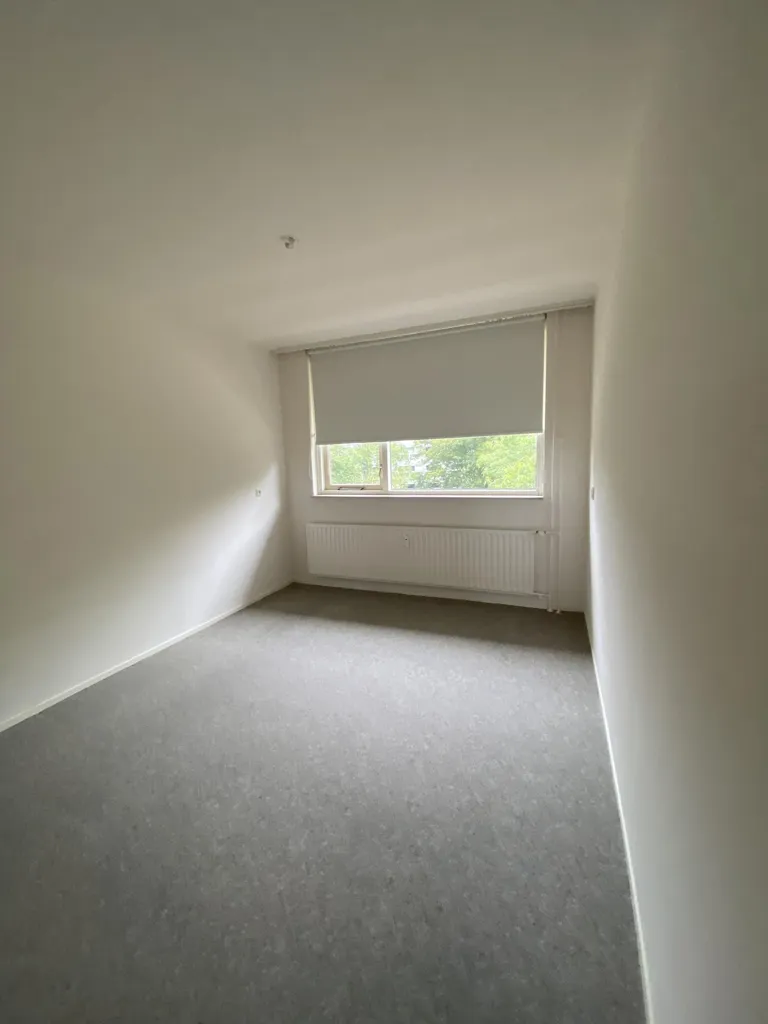 Stanze - Student Flat with 1 Bedroom in Paddepoel, Groningen