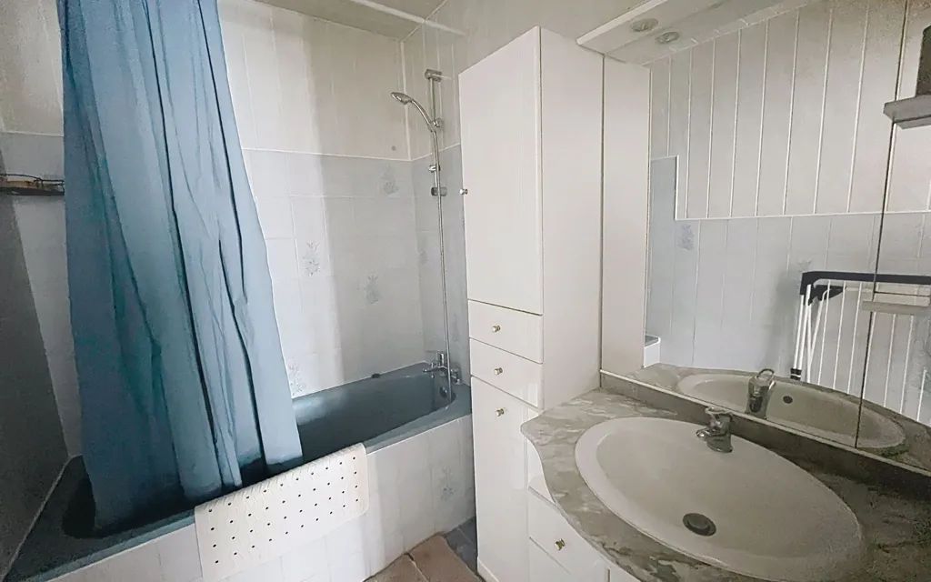 Vannitoad - Meubled 2-Bedroom Apartment in Nancy