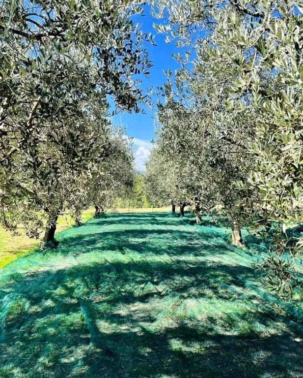 Aed - Historic Umbrian Farmhouse with Panoramic Views in Montecastrilli