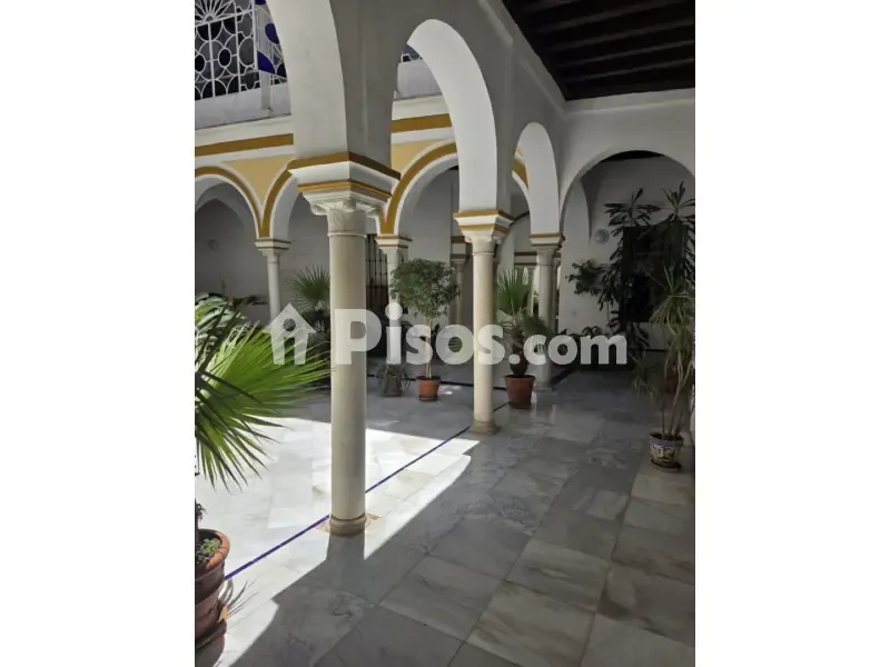 Giardino - Palace-Style Flat with Rooftop in Seville