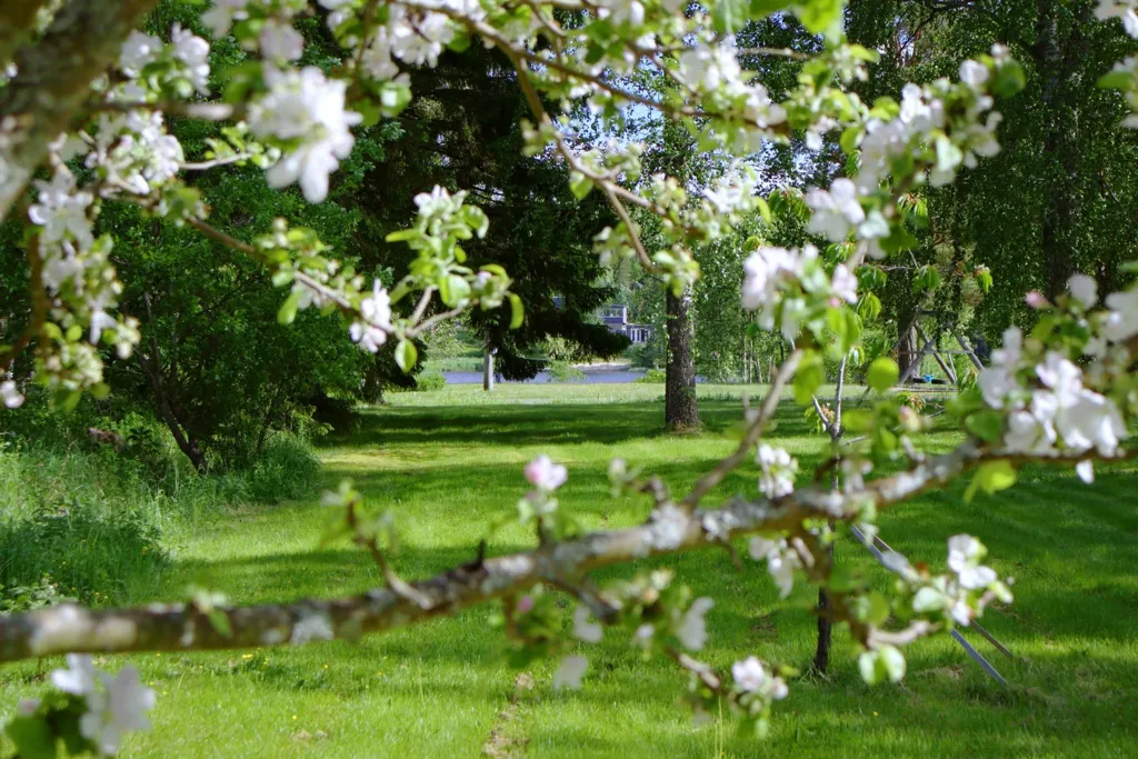 Jardin - Maison 3 pièces à Sundsvalls kommun