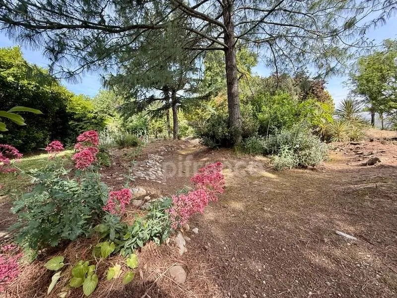 Jardin - Propriété de Caractère avec Parc à Limoux