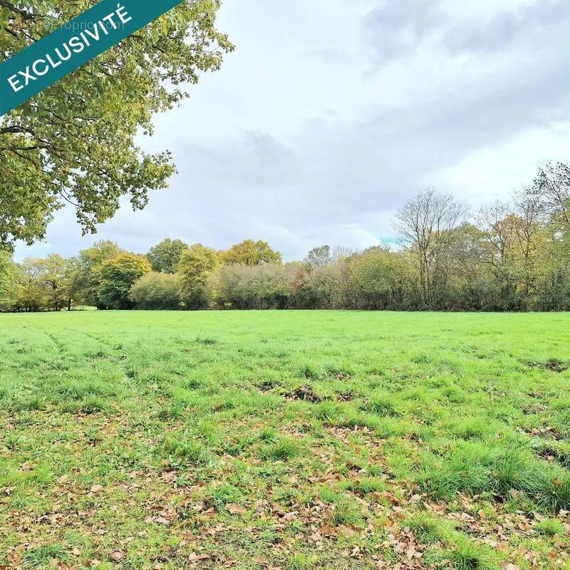 Aed - Buildable Plot with 2,600 m² in Auxy