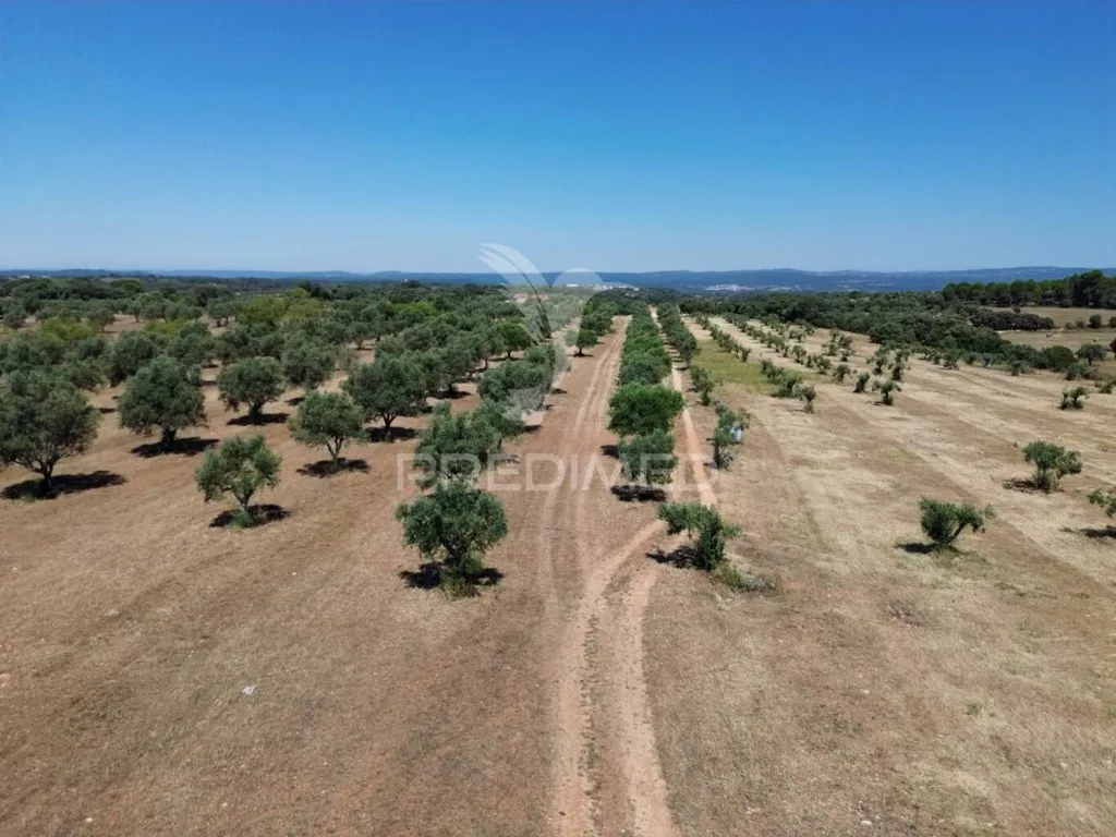 Vue aérienne - Rural Quinta with Olive Grove in Vaqueiros