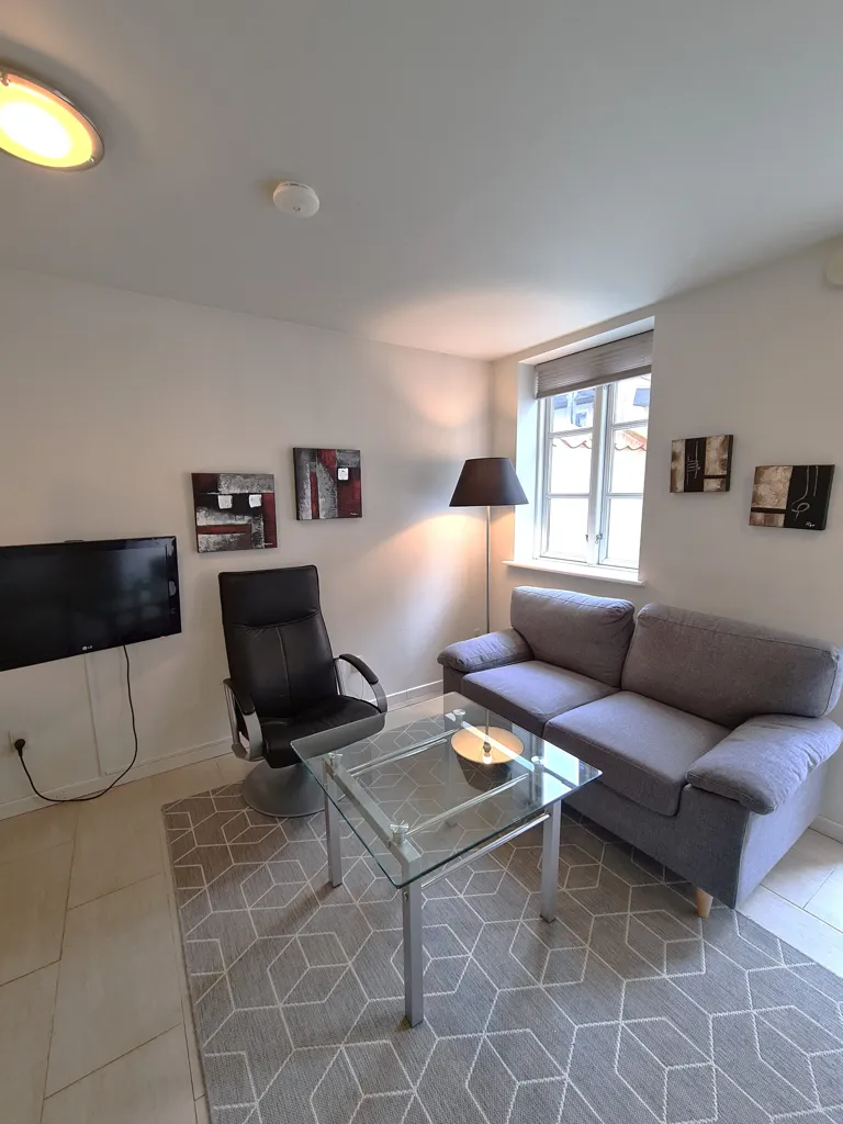 Séjour - One-Bedroom Apartment with Garden Access in Aarhus C