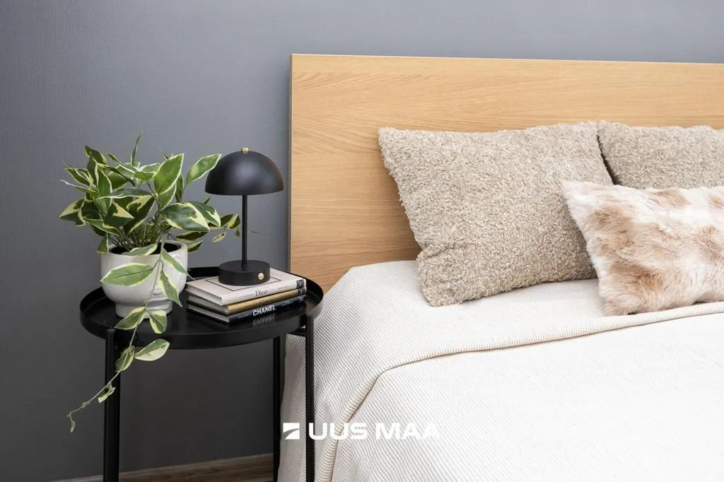 Camere da letto - Remodelled Apartment in Mustamäe, Tallinn