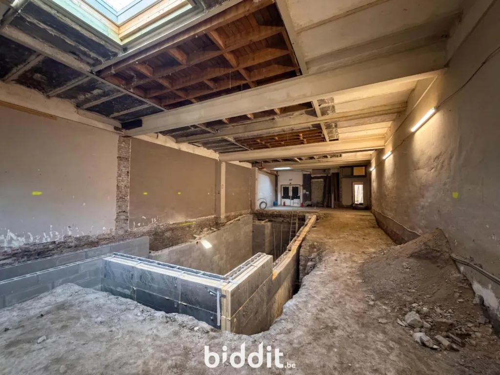 Toad - Commercial Ground Floor in Liège