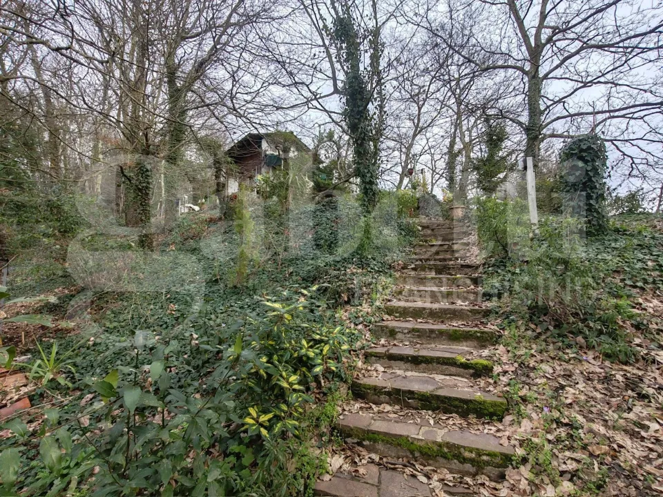 Toad - Rustic House with Garden in Collesalvetti