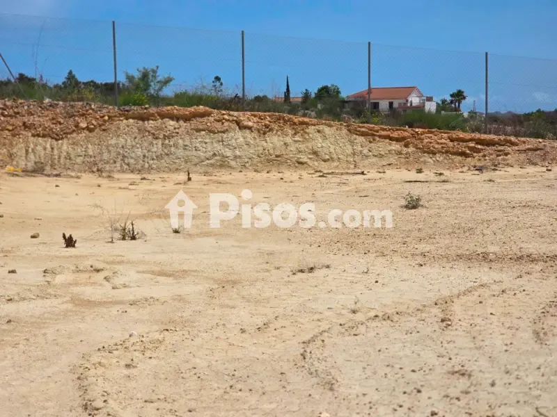 Jardin - Contemporary Villa with Pool in Valle del Este