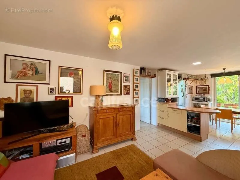 Séjour - Propriété de Caractère avec Parc à Limoux
