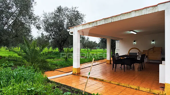 Terrasse - Remodelled Quinta with Olive Grove in Avis