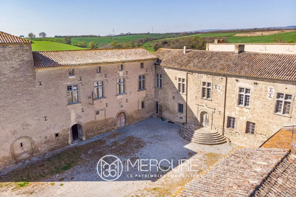 Vista aerea - Restored Medieval Château with Pyrenees View