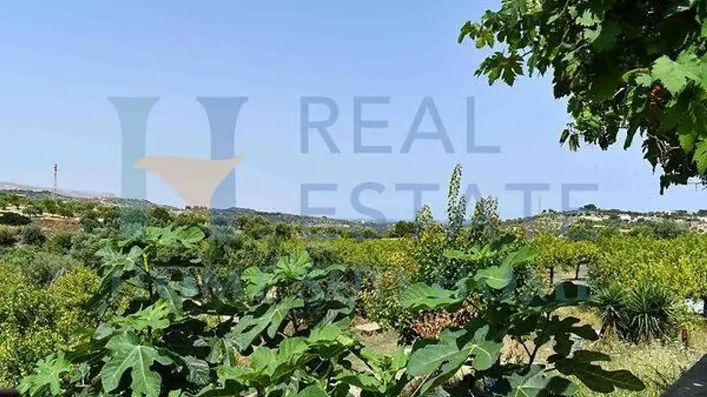 Jardin - Villa with Lemon Grove near Noto