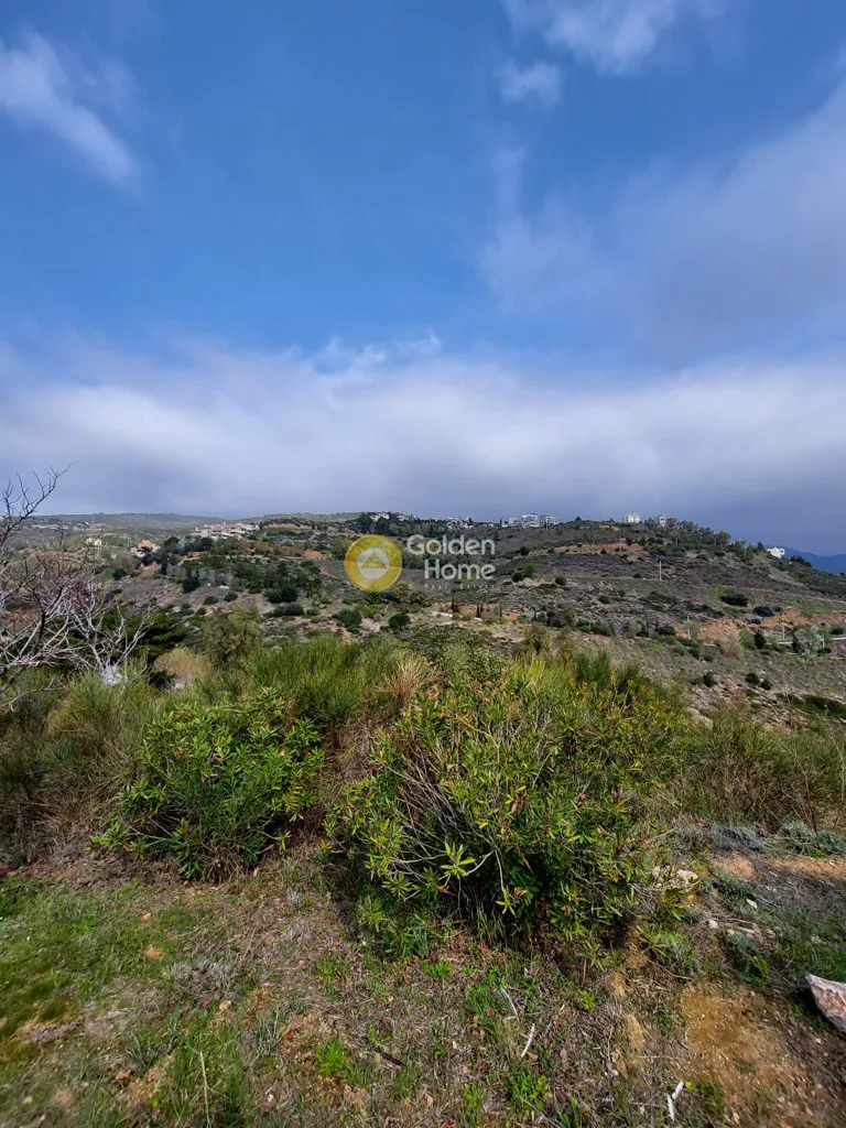 Garden - Plot with Sea View in Dráfi Pikermi