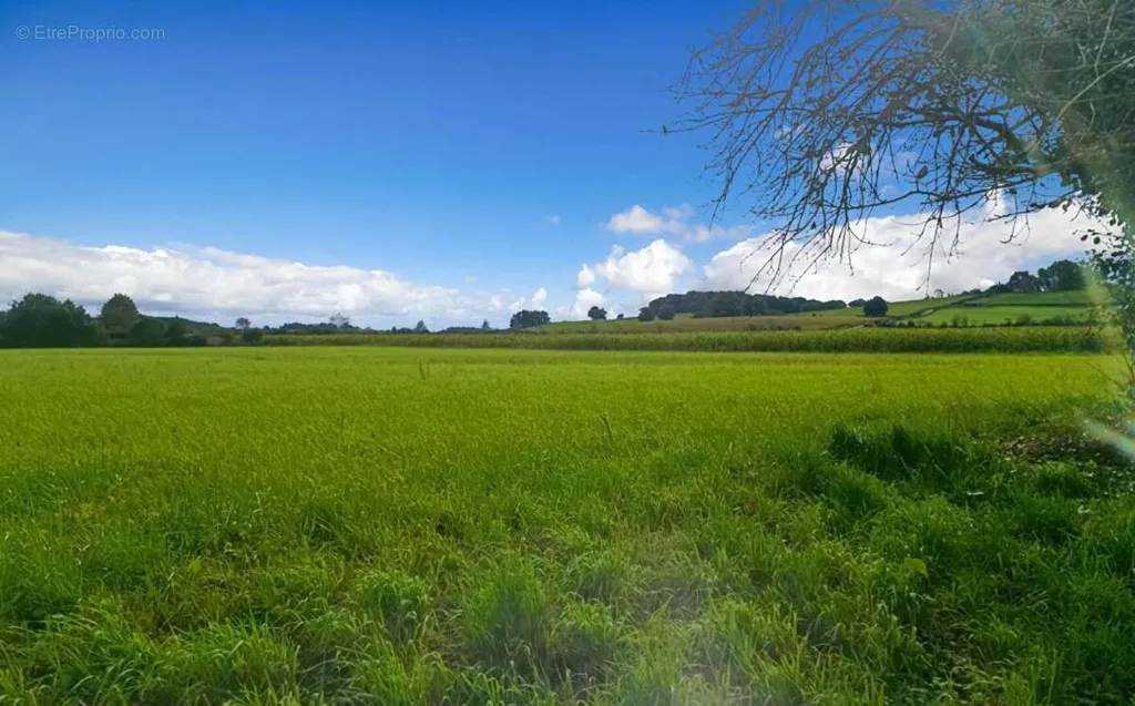 Jardin - Terrain Constructible avec Vue Campagne à Labastide-Villefranche