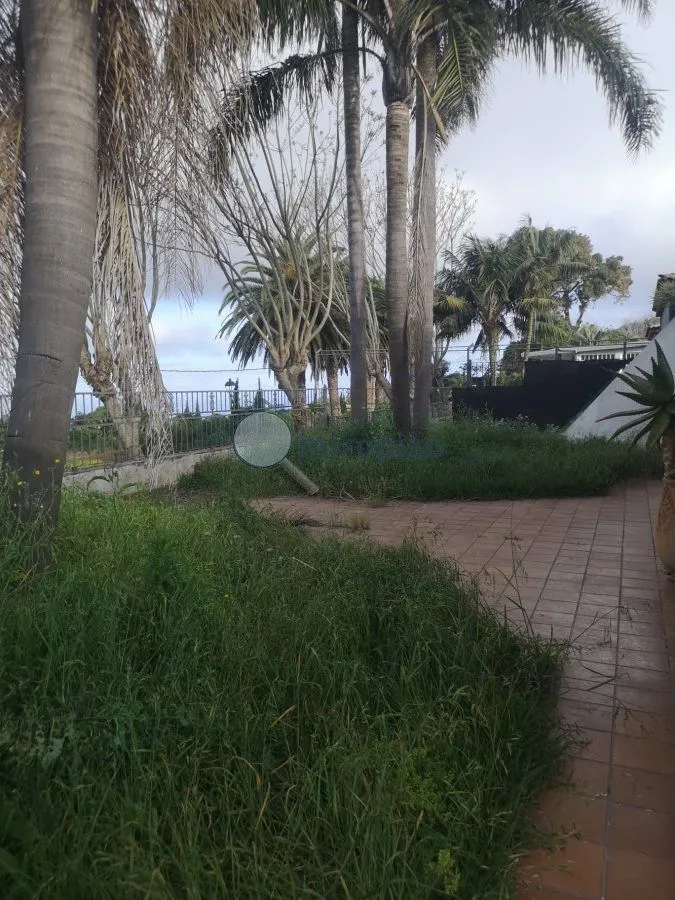 Aed - Chalet with Pool and Terrace in Tacoronte