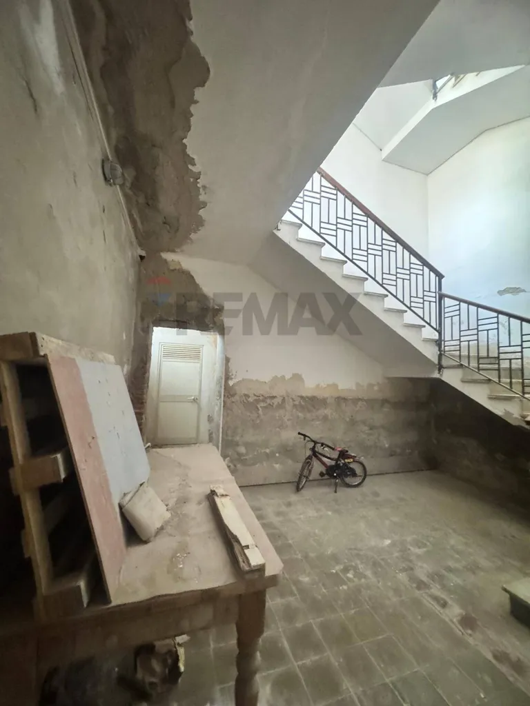 Toad - Spacious Apartment with Terrace in Augusta