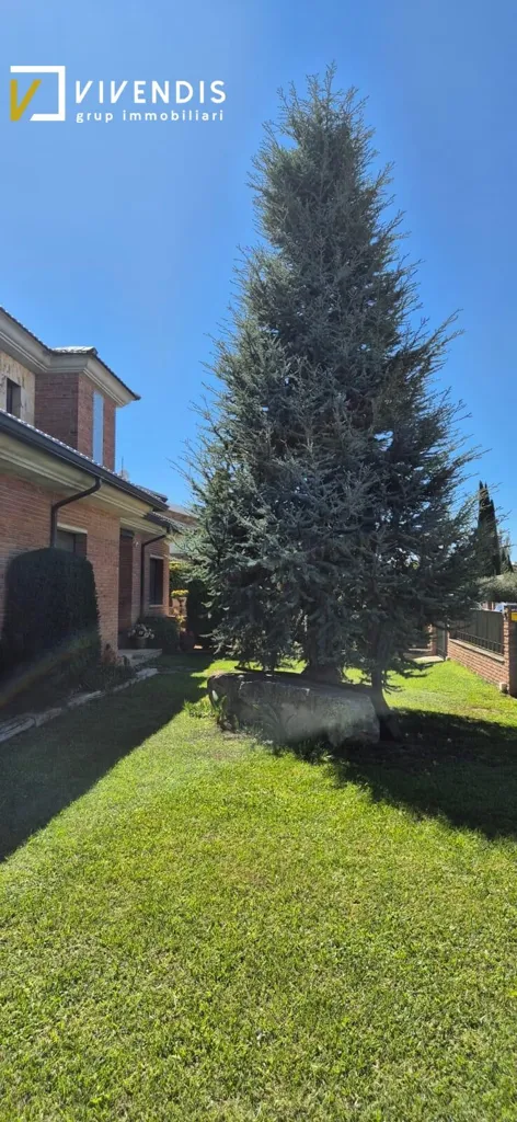 Jardin - Detached House with Pool in Alpicat
