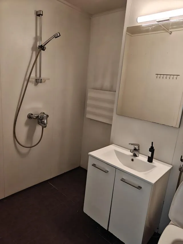 Vannitoad - One-Bedroom Flat with Balcony in Harjavalta