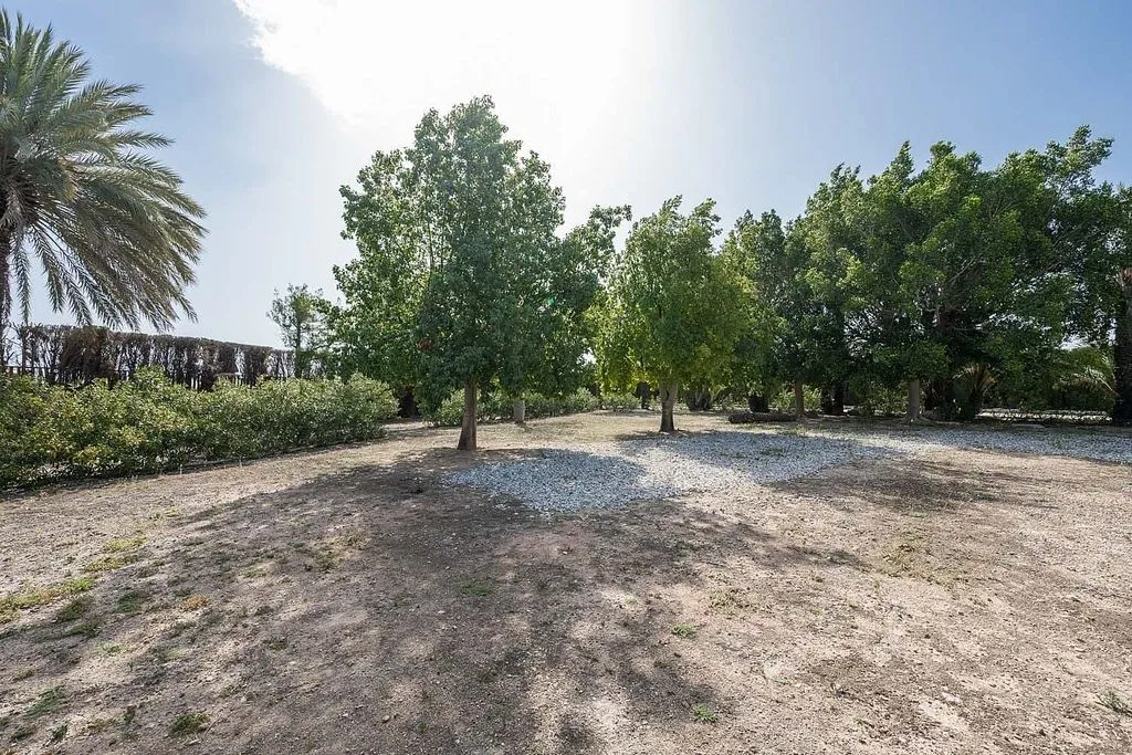 Jardín - Villa con piscina y jardín japonés en Valverde