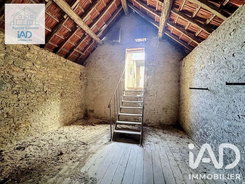 Toad - Former Forge with Apartment in Saint-Pierre-Le-Moutier
