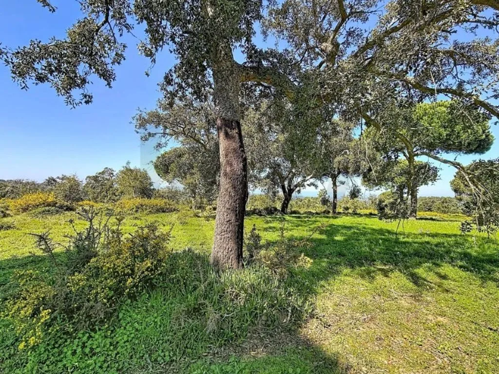 Jardin - Development Land with Water Features in Sesimbra