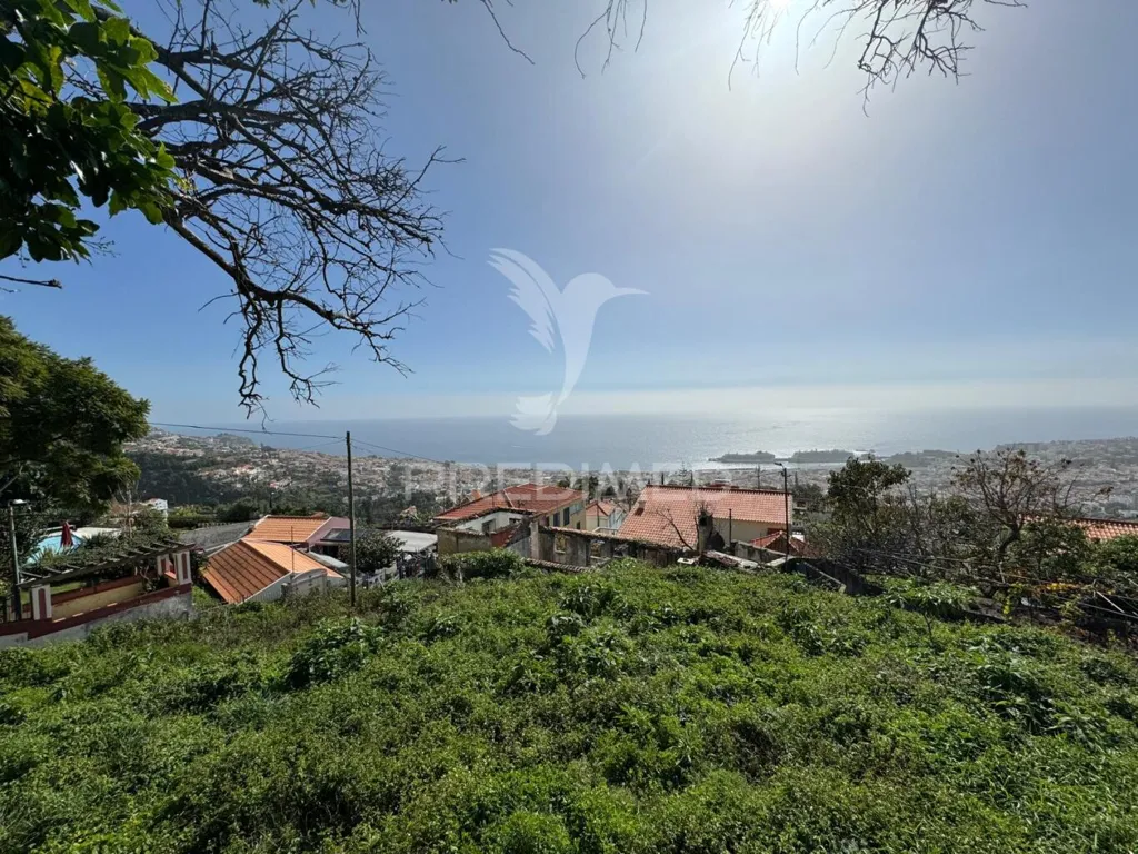 Jardin - Maison 3 pièces à Funchal