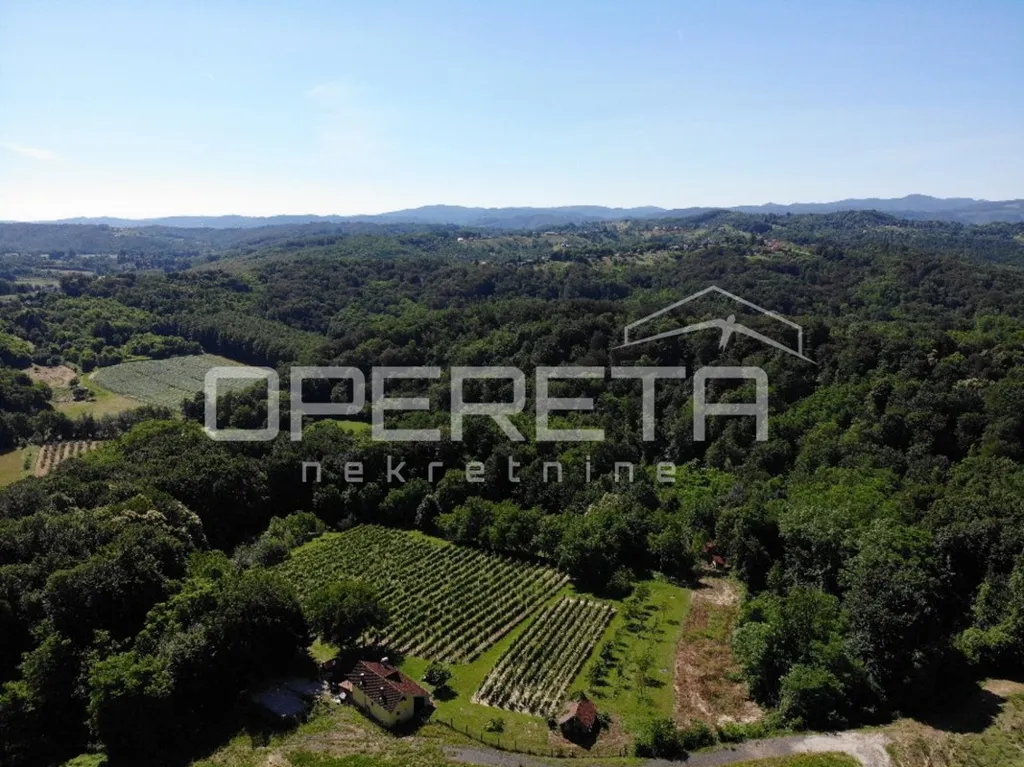 Aerial - Detached House with Forest View in Kelemen