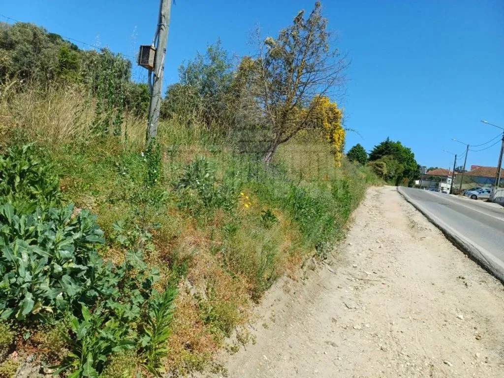 Jardin - Development Opportunity in Santarém City Centre